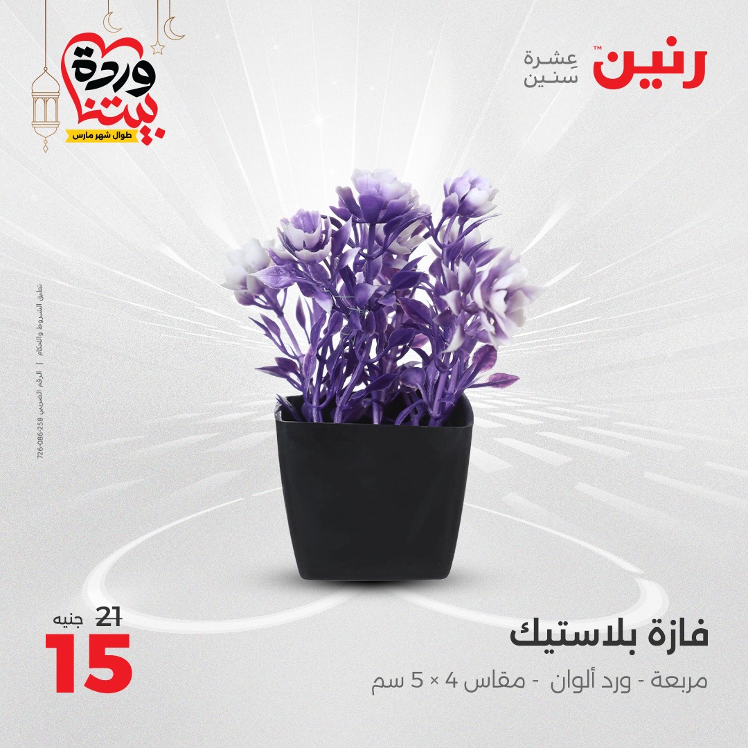 raneen offers from 16mar to 17mar 2025 عروض رنين من 16 مارس حتى 17 مارس 2025 صفحة رقم 40